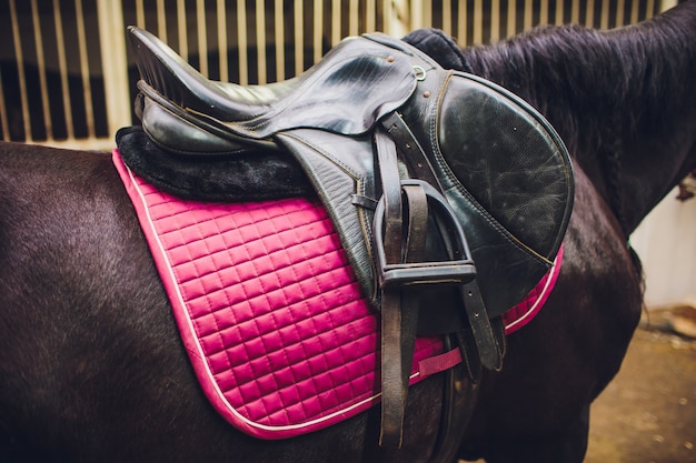 Selle avec étriers sur le dos d'un cheval de sport