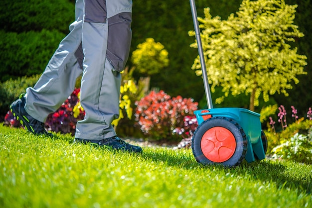 Semer de l'herbe dans le jardin