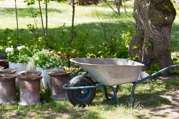 semis, fleurs, brouette et râteau dans le jardin de printemps