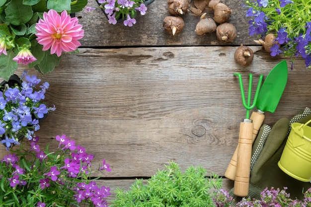 Semis de plantes et de fleurs de jardin Matériel de jardin arrosoir pelle râteau Vue de dessus Espace de copie