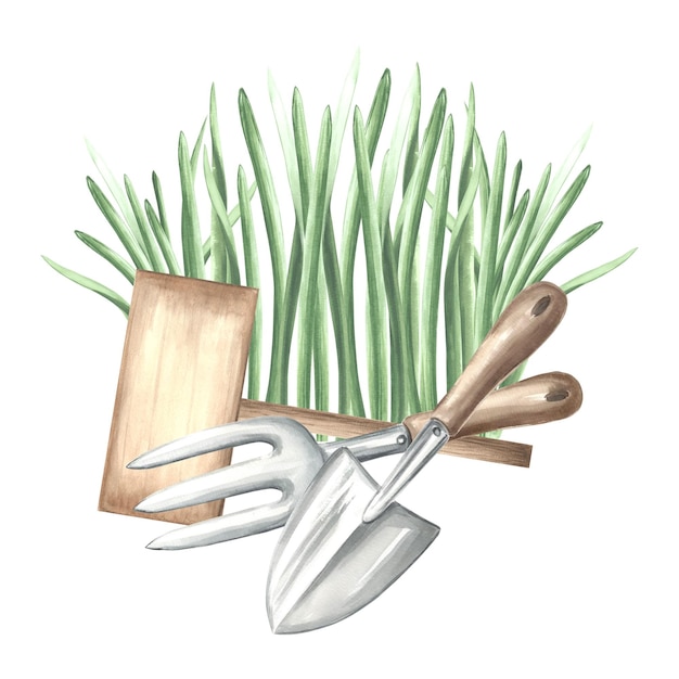 Photo semis de verdure avec râteau à trousseau et panneau fournitures d'outils de jardinage et herbe aquarelle dessinée à la main