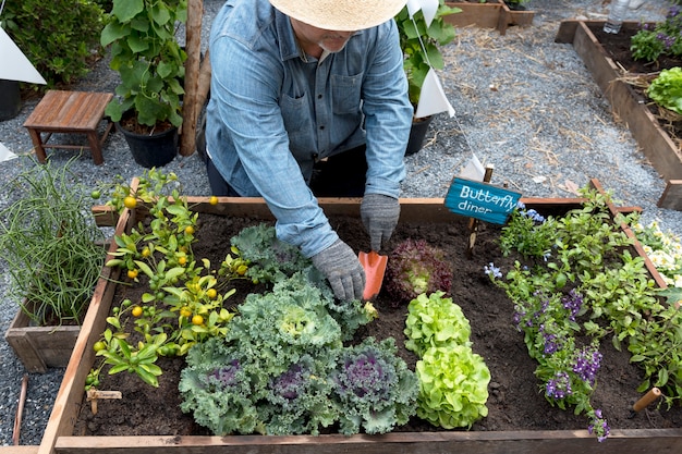 Senior adulte planter des légumes du jardin d&#39;arrière-cour