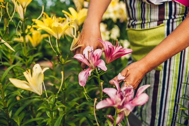 Senior femme cueillant des fleurs dans le jardin