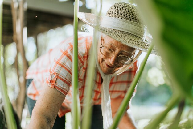 Senior femme s&#39;occupant des plantes dans son jardin