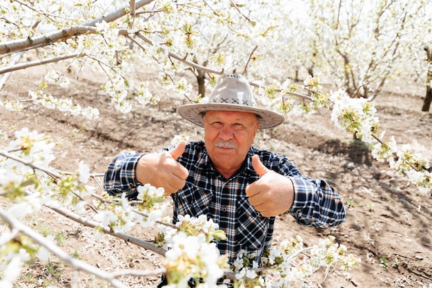 Senior happy farmer avec chapeau montrant le signe du pouce vers le haut est dans un verger fleuri vieil homme souriant positif m