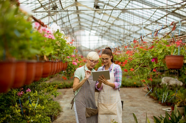 Senior et jeune femme fleuriste moderne regardant une tablette numérique