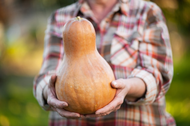 Senior woman dans une chemise à carreaux tient une citrouille dans le jardin.