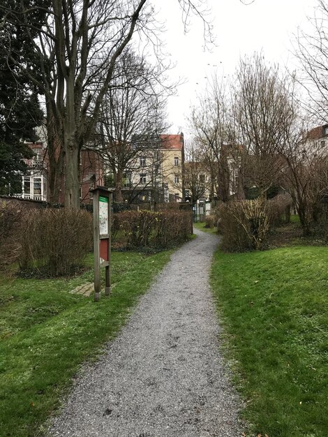 Photo un sentier au milieu des arbres et des bâtiments contre le ciel