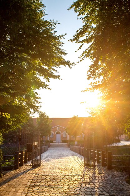 Un sentier au milieu des arbres contre le ciel au coucher du soleil