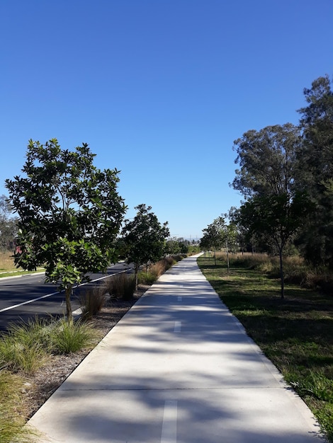 Un sentier au milieu des arbres contre un ciel bleu clair