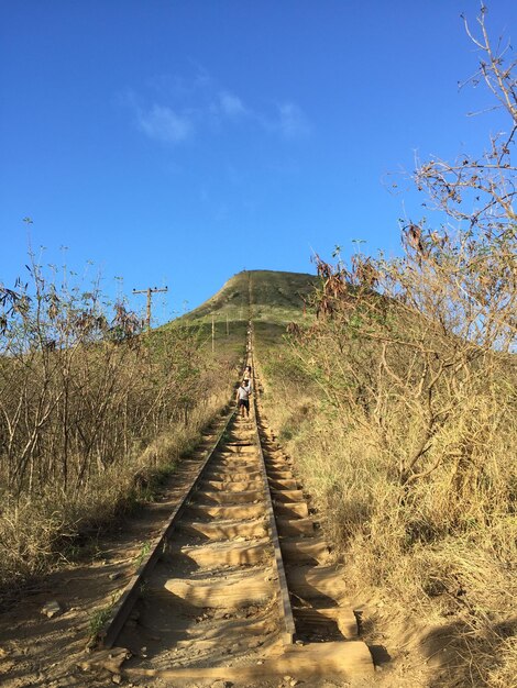 Photo un sentier au milieu des arbres contre le ciel