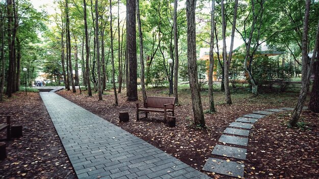 Un sentier au milieu des arbres dans le parc