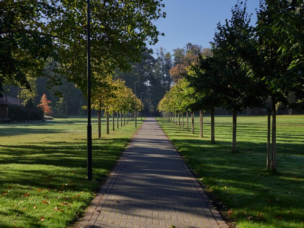 Un sentier au milieu des arbres dans le parc