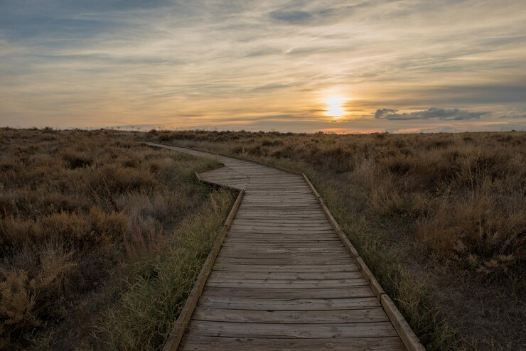 Photo un sentier au milieu d'un champ contre le ciel au coucher du soleil