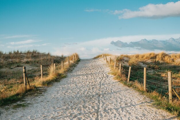 Photo un sentier au milieu d'un champ contre le ciel