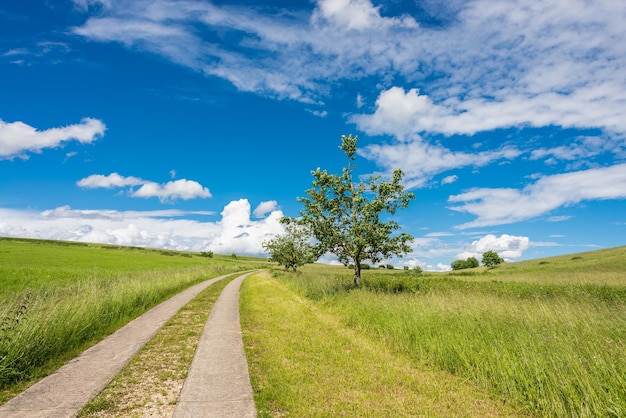 Un sentier au milieu d'un champ herbeux contre le ciel