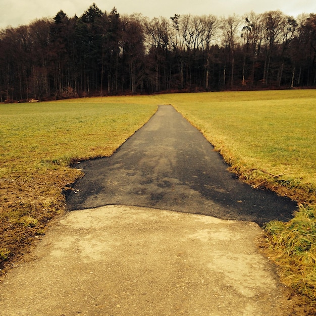 Un sentier au milieu d'un champ herbeux