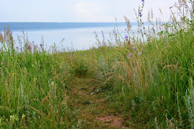 sentier au sommet de la colline avec rivière à l'horizon, gros plan