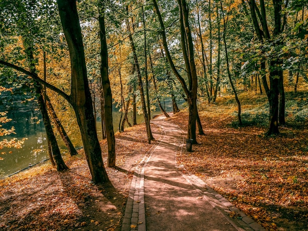 Sentier d'automne dans un parc ensoleillé. Tsaritsyno. Moscou.