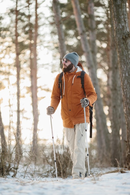 Sentier barbu randonnée dans une forêt de montagne