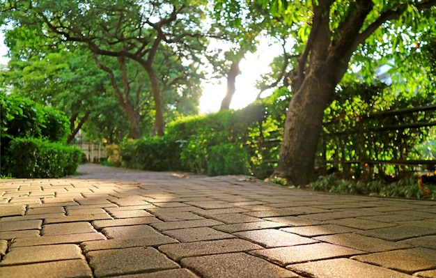 Sentier de bloc de pierre du jardin vide au soleil