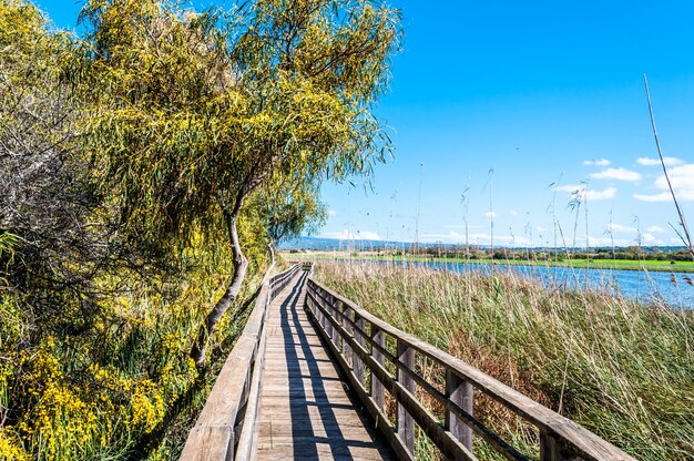 Sentier en bois dans l'étang de Platamona