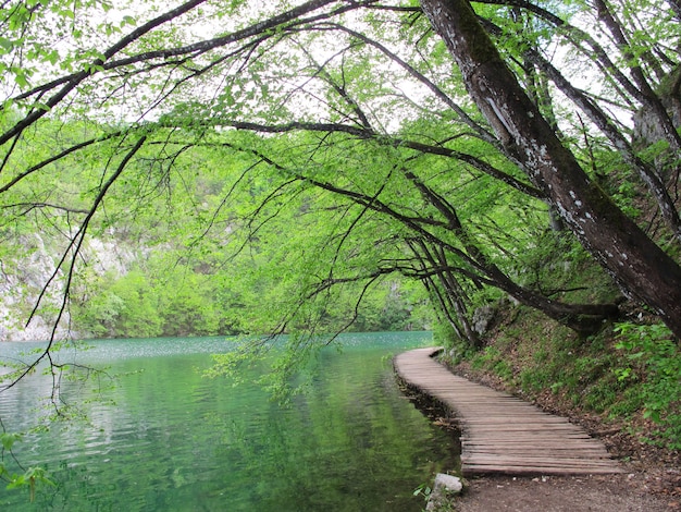 Sentier en bois sur le parc national de Plitvice