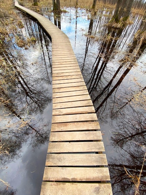 un sentier en bois à travers les sentiers naturels du lac et les reflets des arbres dans l'eau