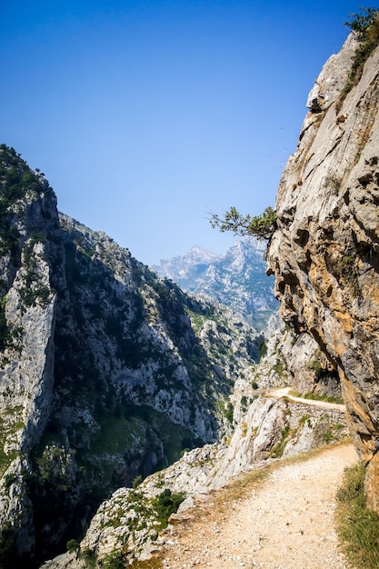 Sentier Cares ruta del Cares dans Picos de Europa Asturias Espagne