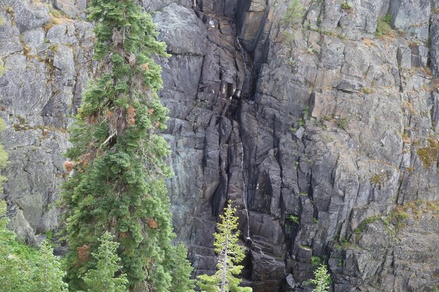 Photo le sentier de chute de frazier à eureka plumas forest dans le bassin du lac en californie