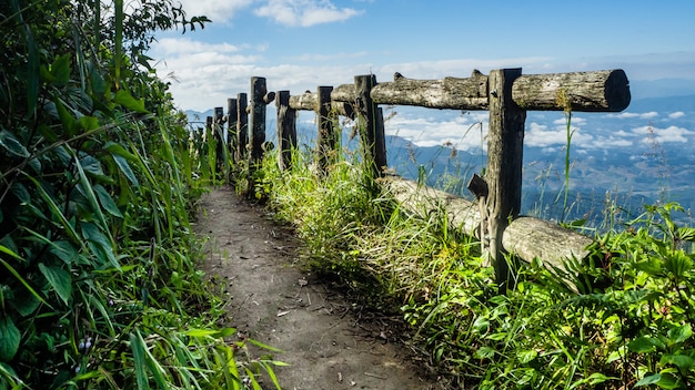 Sentier côté falaise au parc national de Doi Inthanon, Thaïlande