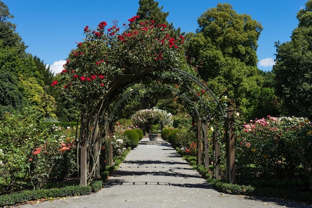 Sentier couvert dans le parc