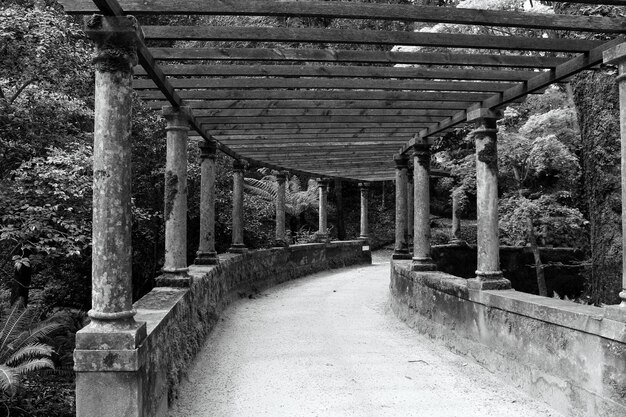 Sentier couvert vide dans un parc