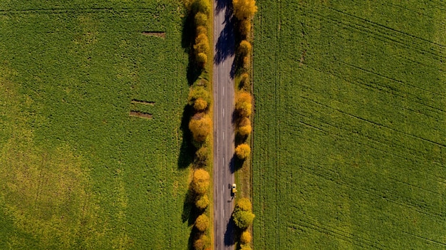 Sentier dans l'automne lumineux Vue de dessus