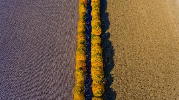 Sentier dans l'automne lumineux Vue de dessus