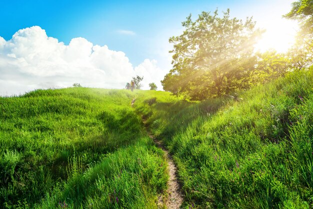 Sentier dans le domaine