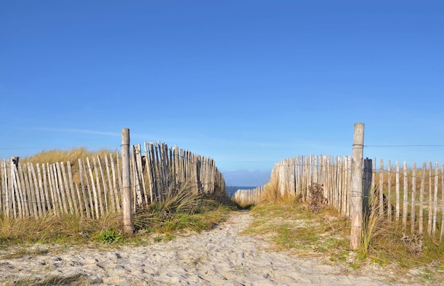 Sentier dans les dunes bordé d'une clôture en bois en bord de mer dans le finistère en Bretagne