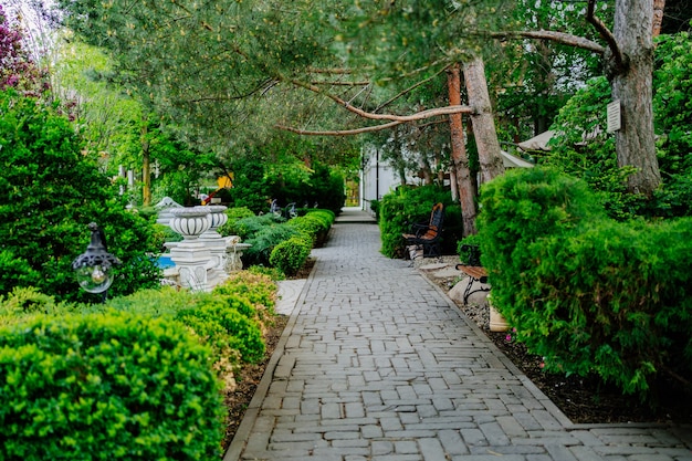 Sentier dans le jardin ou le parc. Aménagement paysager. promenades dans la nature. vacances, méditation et paix.