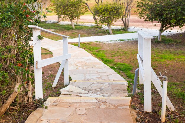 Sentier dans le jardin, pelouses vertes avec allées en briques, aménagement paysager du jardin.