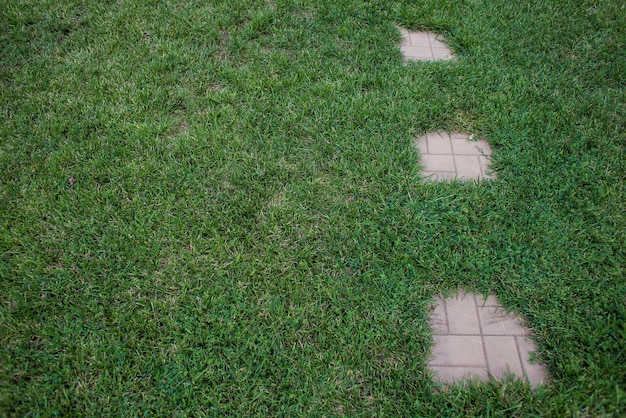 Sentier dans le jardin en plein air tremplins vers l'avant ou cailloux dans la pelouse Utilisation pour la route vers le succès réalisation leadership jalon vision et concept de mission