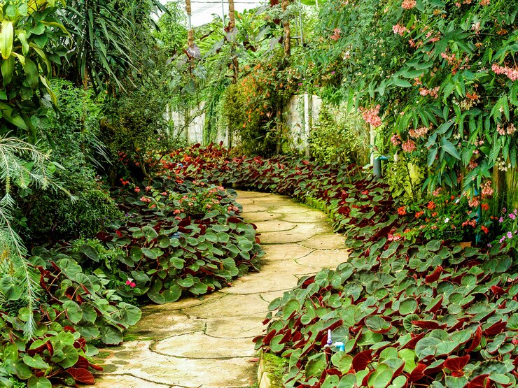 Photo sentier dans la jungle du jardin