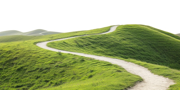 Photo un sentier dans les montagnes