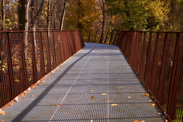 Sentier dans un parc en automne. Personne