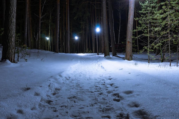 Sentier d'empreintes de pas dans la neige la nuit dans un parc d'hiver Un chemin parmi de grands arbres dans une forêt d'hiver Des lanternes illuminent le parc d'hiver Des empreintes de pas dans la neige brillante la nuit