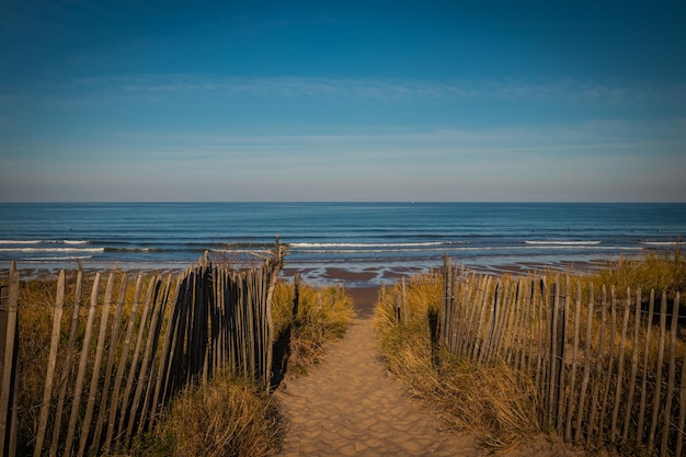 Photo un sentier entre des clôtures en bois sur la dune atlantique en france montalivet