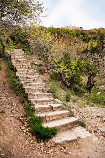 Photo sentier d'escalier en pierre antique dans le parc vallonné. escaliers couverts de mousse dans la roche de montagne. arrière-plans confortables pour le site ou le fond d'écran à grande résolution. concept de voyage, de tourisme et d'aventure. espace de copie