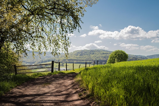 Sentier étroit le long du paysage rural