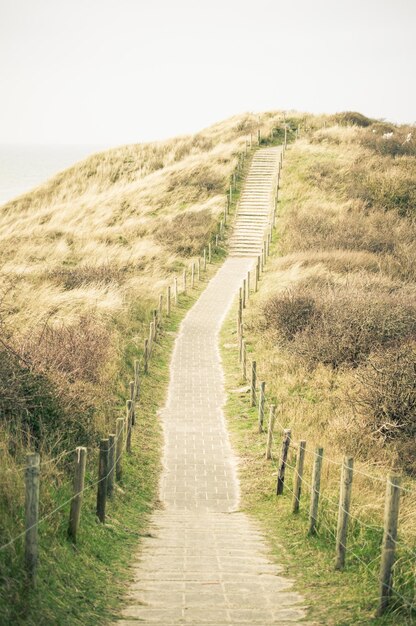 Photo un sentier étroit menant à des marches sur une colline herbeuse