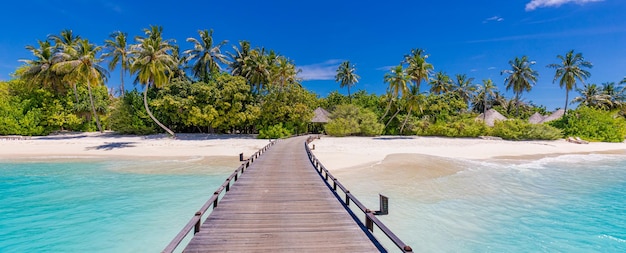 Sentier de la jetée en bois, passerelle vers l'île paradisiaque, plage tropicale. Palmiers sable ensoleillé mer ciel