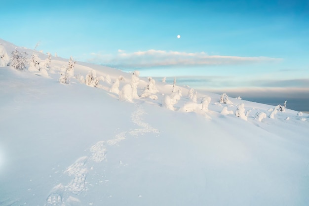 Sentier le long de la colline enneigée Une piste d'empreintes de pas dans la neige est une perspective qui s'estompe